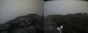 ./images/calvert/buxton2/20190516/buxton220190516_141455M.jpg