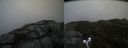 ./images/calvert/buxton2/20190516/buxton220190516_143455M.jpg