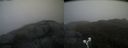 ./images/calvert/buxton2/20190516/buxton220190516_175455M.jpg