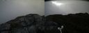 ./images/calvert/buxton2/20190517/buxton220190517_072956M.jpg