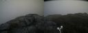 ./images/calvert/buxton2/20190520/buxton220190520_091455M.jpg