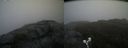 ./images/calvert/buxton2/20190520/buxton220190520_100455M.jpg