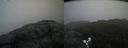 ./images/calvert/buxton2/20190520/buxton220190520_105955M.jpg