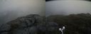 ./images/calvert/buxton2/20190520/buxton220190520_170455M.jpg