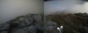 ./images/calvert/buxton2/20190521/buxton220190521_154455M.jpg