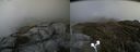 ./images/calvert/buxton2/20190521/buxton220190521_160956M.jpg