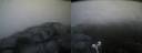 ./images/calvert/buxton2/20190524/buxton220190524_052954M.jpg
