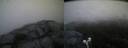 ./images/calvert/buxton2/20190524/buxton220190524_053454M.jpg