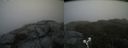 ./images/calvert/buxton2/20190524/buxton220190524_144954M.jpg