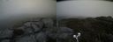 ./images/calvert/buxton2/20190524/buxton220190524_161954M.jpg