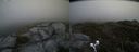 ./images/calvert/buxton2/20190524/buxton220190524_163954M.jpg
