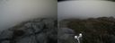 ./images/calvert/buxton2/20190524/buxton220190524_180954M.jpg