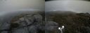 ./images/calvert/buxton2/20190524/buxton220190524_191455M.jpg