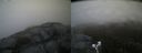 ./images/calvert/buxton2/20190525/buxton220190525_060454M.jpg