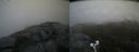./images/calvert/buxton2/20190525/buxton220190525_062454M.jpg
