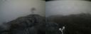 ./images/calvert/buxton2/20190525/buxton220190525_064454M.jpg