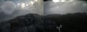 ./images/calvert/buxton2/20190525/buxton220190525_082455M.jpg