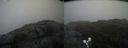 ./images/calvert/buxton2/20190601/buxton220190601_103454M.jpg