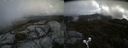 ./images/calvert/buxton2/20190601/buxton220190601_122454M.jpg