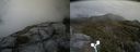 ./images/calvert/buxton2/20190602/buxton220190602_112454M.jpg