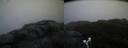 ./images/calvert/buxton2/20190603/buxton220190603_052454M.jpg