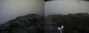 ./images/calvert/buxton2/20190603/buxton220190603_082954M.jpg
