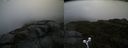 ./images/calvert/buxton2/20190603/buxton220190603_083954M.jpg