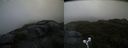 ./images/calvert/buxton2/20190603/buxton220190603_084454M.jpg