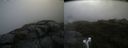 ./images/calvert/buxton2/20190603/buxton220190603_085454M.jpg