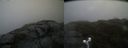 ./images/calvert/buxton2/20190603/buxton220190603_091454M.jpg