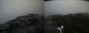 ./images/calvert/buxton2/20190603/buxton220190603_093954M.jpg