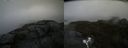 ./images/calvert/buxton2/20190603/buxton220190603_101454M.jpg