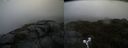 ./images/calvert/buxton2/20190603/buxton220190603_104954M.jpg