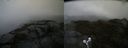 ./images/calvert/buxton2/20190603/buxton220190603_110454M.jpg