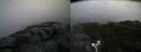 ./images/calvert/buxton2/20190603/buxton220190603_114454M.jpg