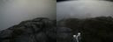 ./images/calvert/buxton2/20190603/buxton220190603_115454M.jpg