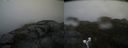 ./images/calvert/buxton2/20190603/buxton220190603_130454M.jpg