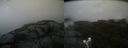 ./images/calvert/buxton2/20190603/buxton220190603_133954M.jpg