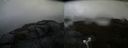 ./images/calvert/buxton2/20190603/buxton220190603_135454M.jpg