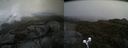 ./images/calvert/buxton2/20190603/buxton220190603_162954M.jpg