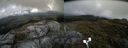 ./images/calvert/buxton2/20190603/buxton220190603_164454M.jpg