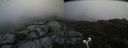 ./images/calvert/buxton2/20190603/buxton220190603_172454M.jpg