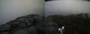 ./images/calvert/buxton2/20190603/buxton220190603_181454M.jpg