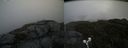 ./images/calvert/buxton2/20190605/buxton220190605_095953M.jpg