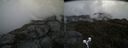 ./images/calvert/buxton2/20190605/buxton220190605_100953M.jpg