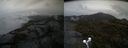 ./images/calvert/buxton2/20190605/buxton220190605_113454M.jpg