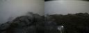 ./images/calvert/buxton2/20190605/buxton220190605_152454M.jpg