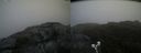 ./images/calvert/buxton2/20190605/buxton220190605_164954M.jpg