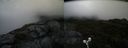 ./images/calvert/buxton2/20190606/buxton220190606_112953M.jpg