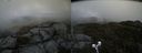 ./images/calvert/buxton2/20190606/buxton220190606_125454M.jpg